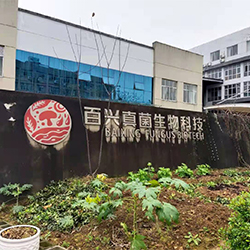 百興真菌生物科技有限公司